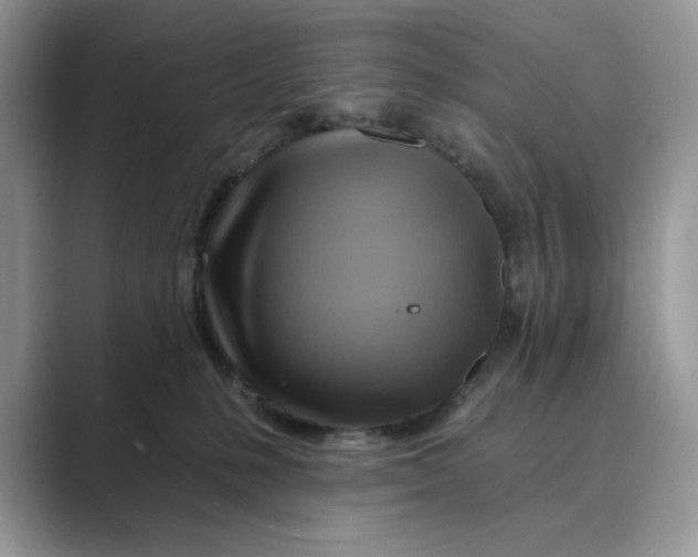 X0000088860231200707061057