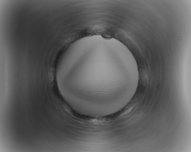 X0000088860232200707061056