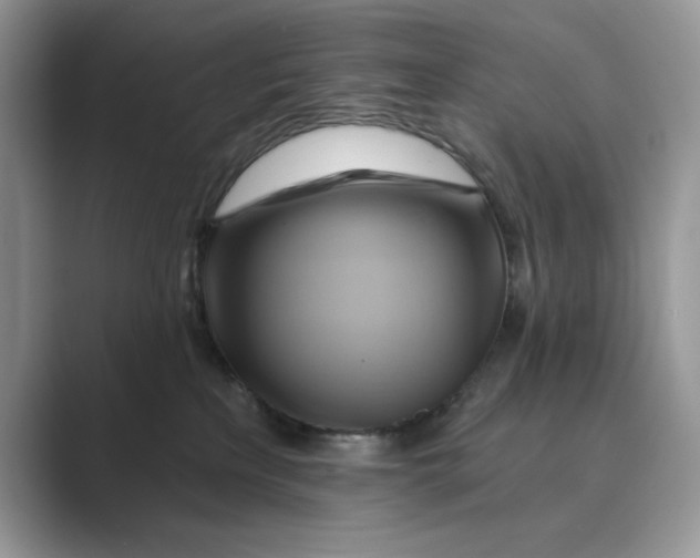 X0000088860233200707061056