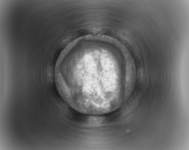 X0000088860234200707061056