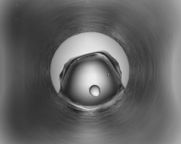 X0000088860237200707061056