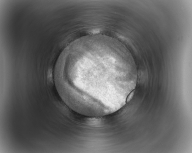 X0000088860238200707061056