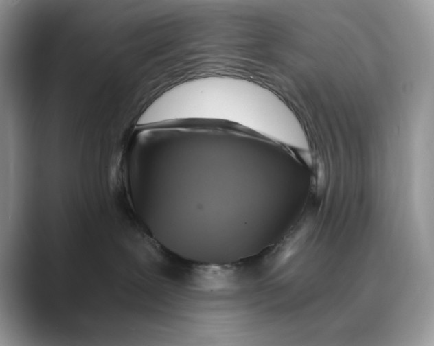 X0000088860239200707061056