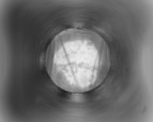 X0000088860240200707061056