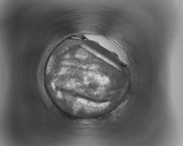 X0000088860241200707061056