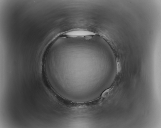 X0000088860243200707061056