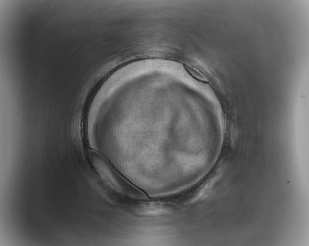 X0000088860244200707061056