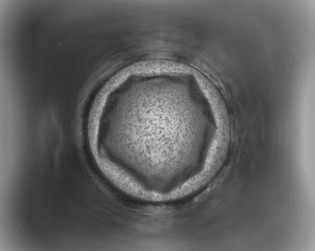 X0000088860245200707061056