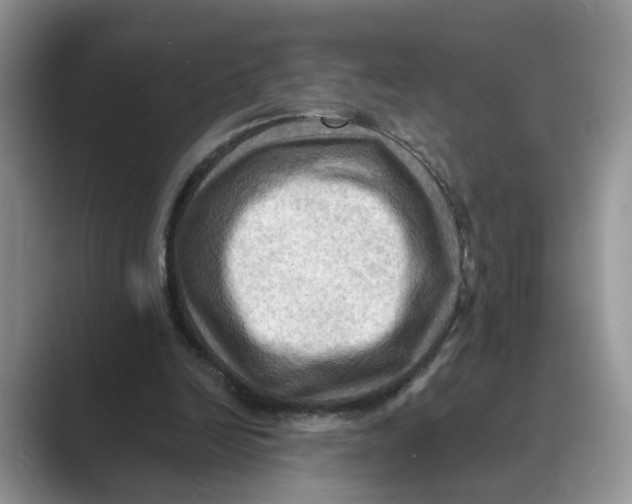 X0000088860246200707061056