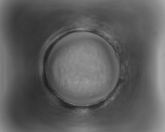 X0000088860247200707061056