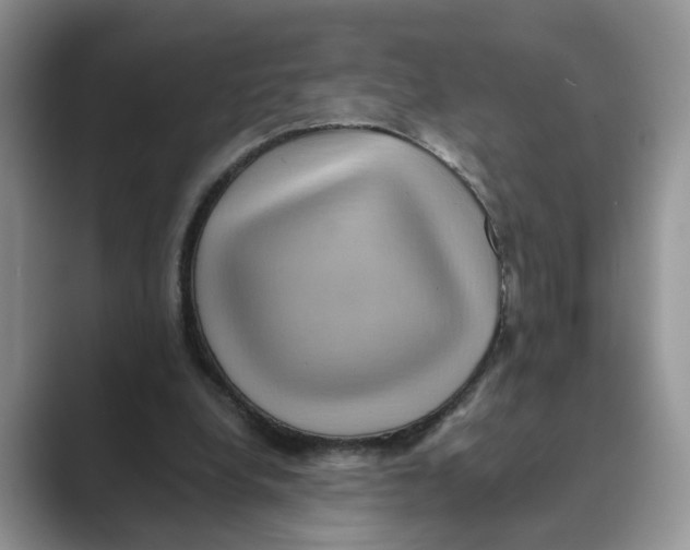 X0000088860248200707061056