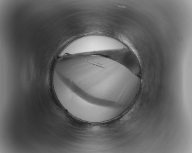 X0000088860249200707061056