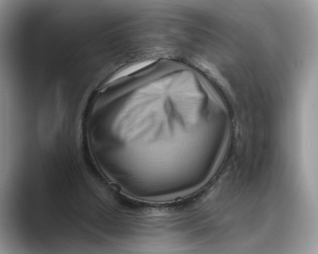 X0000088860250200707061056