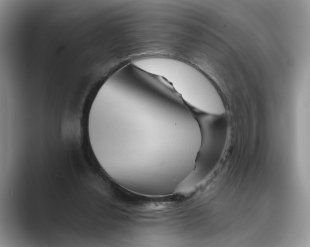 X0000088860252200707061056