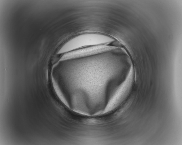 X0000088860253200707061056