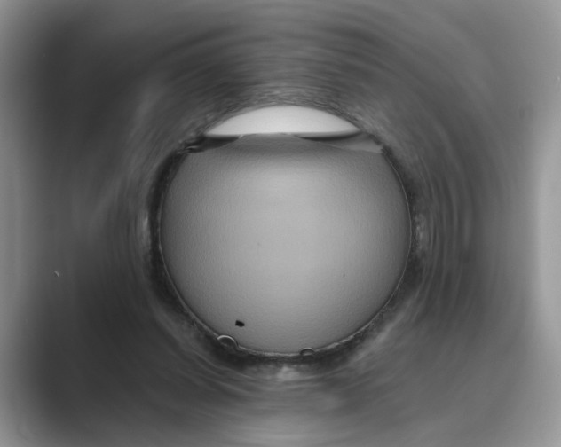 X0000088860254200707061056