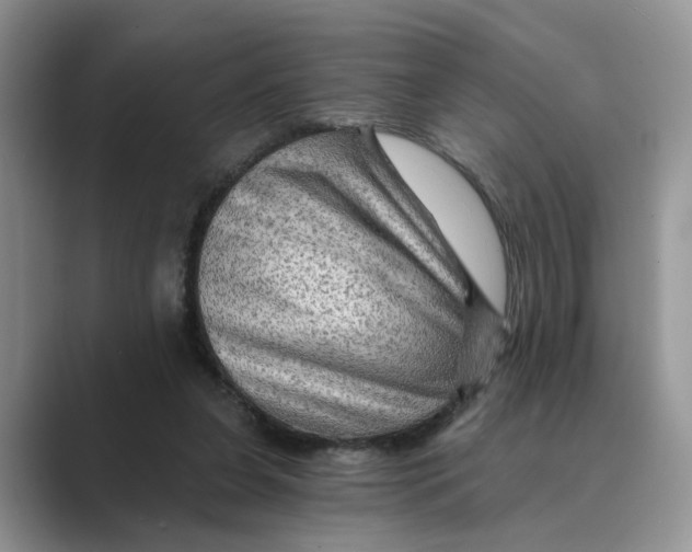 X0000088860255200707061056