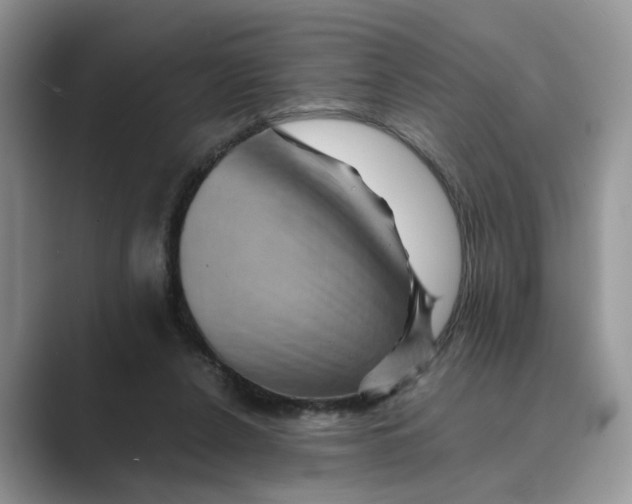 X0000088860256200707061056