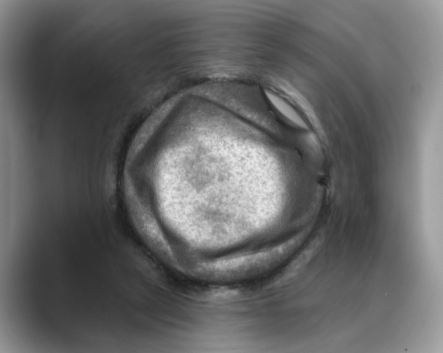 X0000088860257200707061056