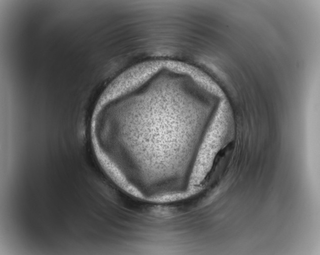 X0000088860261200707061056