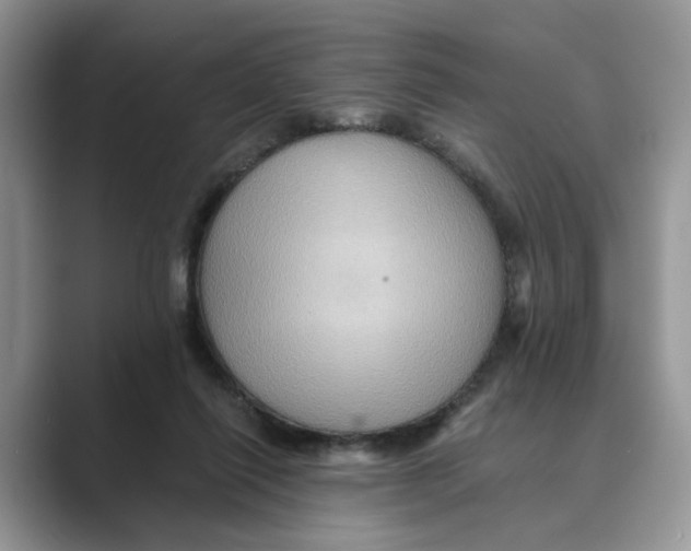 X0000088860262200707061056