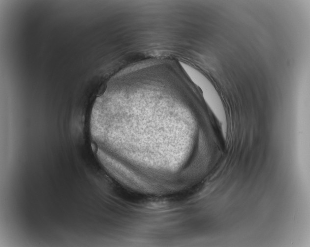 X0000088860263200707061056