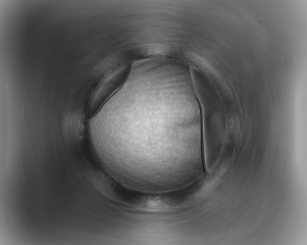 X0000088860264200707061056