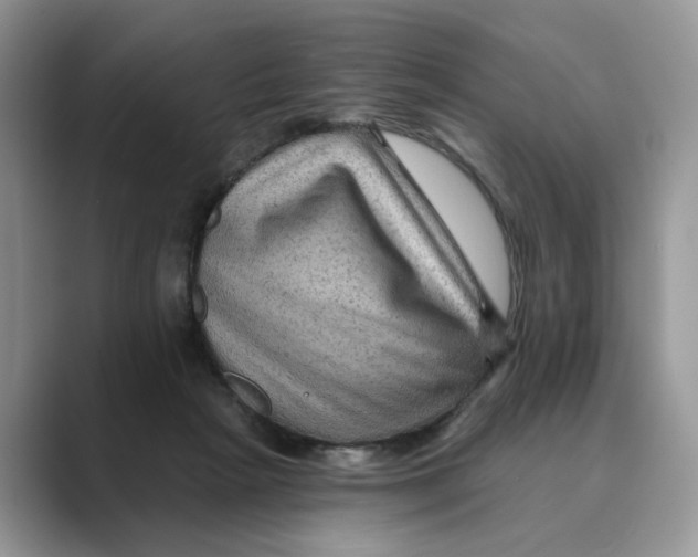 X0000088860265200707061056