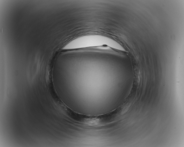 X0000088860266200707061056