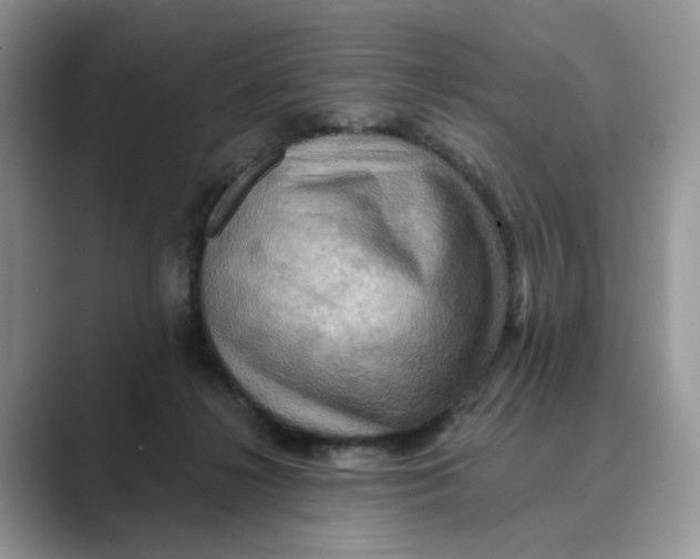 X0000088860268200707061056