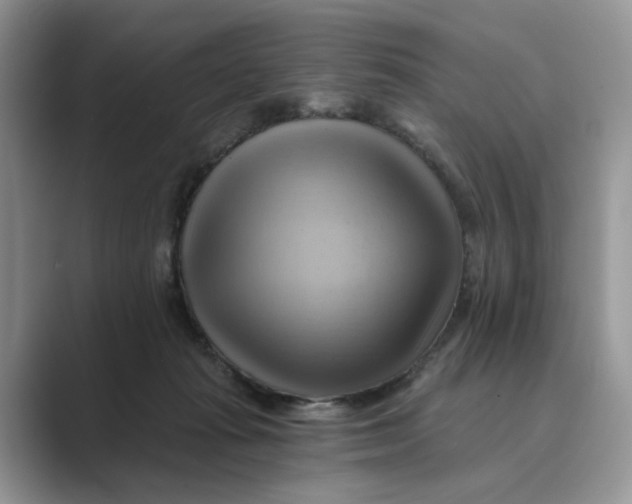 X0000088860269200707061056