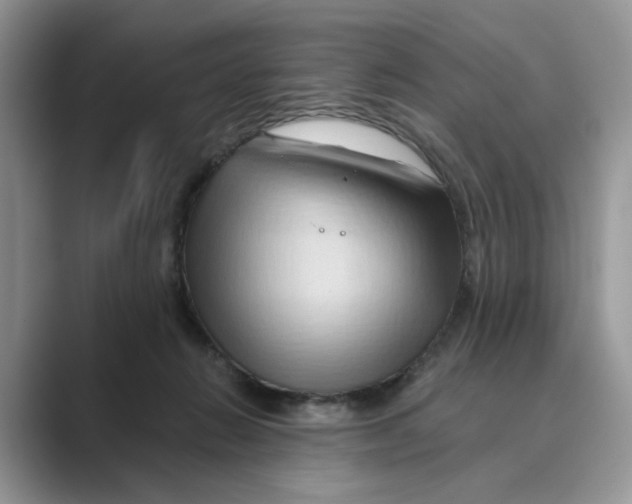 X0000088860270200707061056