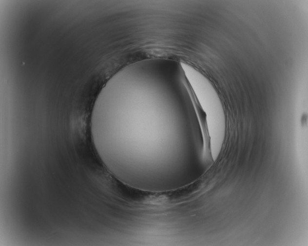 X0000088860271200707061056