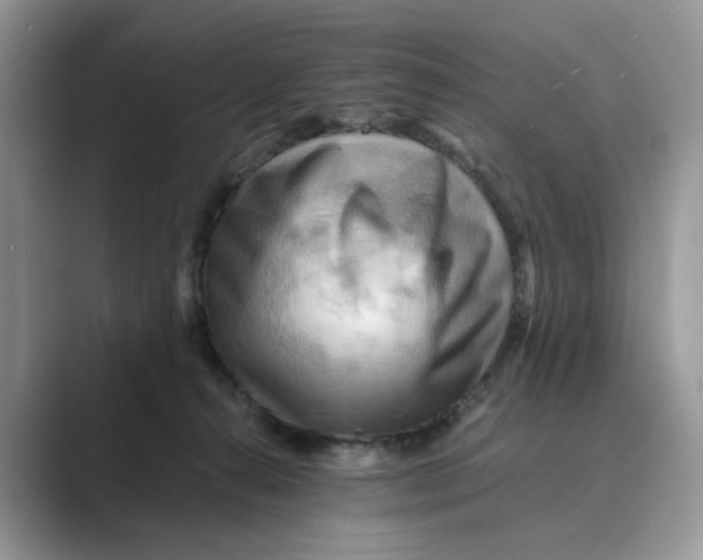 X0000088860272200707061056