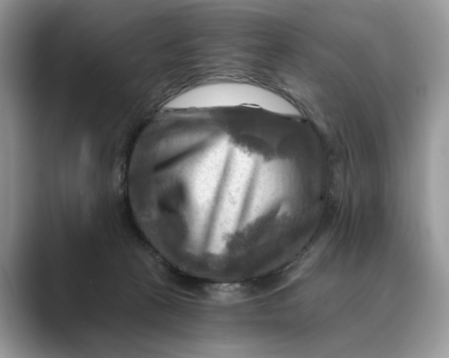 X0000088860273200707061056