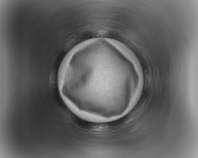 X0000088860274200707061056