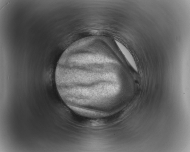 X0000088860275200707061056