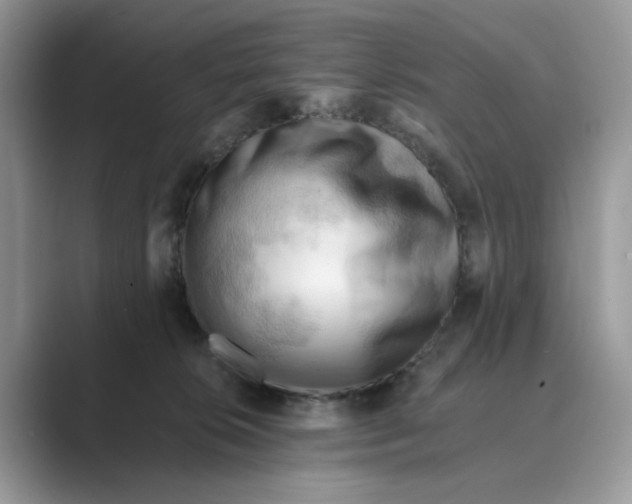 X0000088860276200707061056