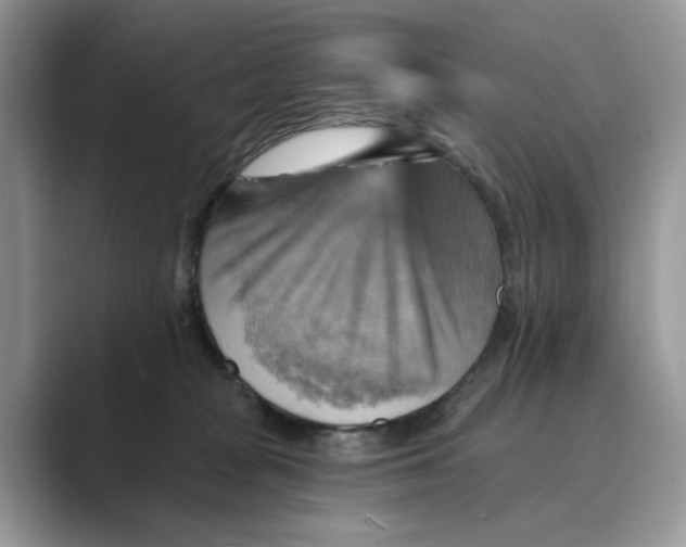 X0000088860277200707061056