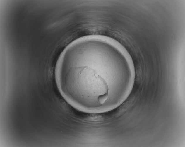 X0000088860278200707061056