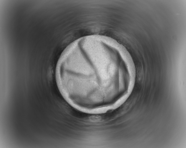 X0000088860279200707061056