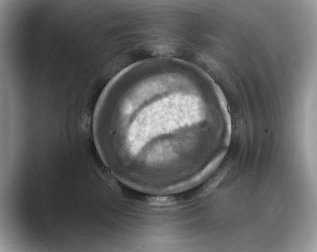 X0000088860281200707061056