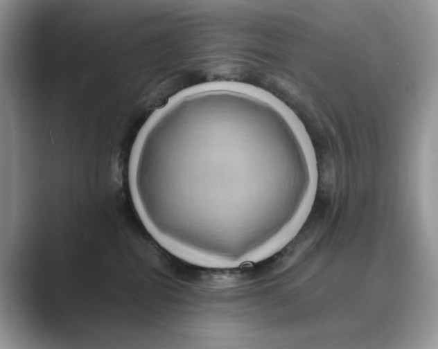 X0000088860282200707061056