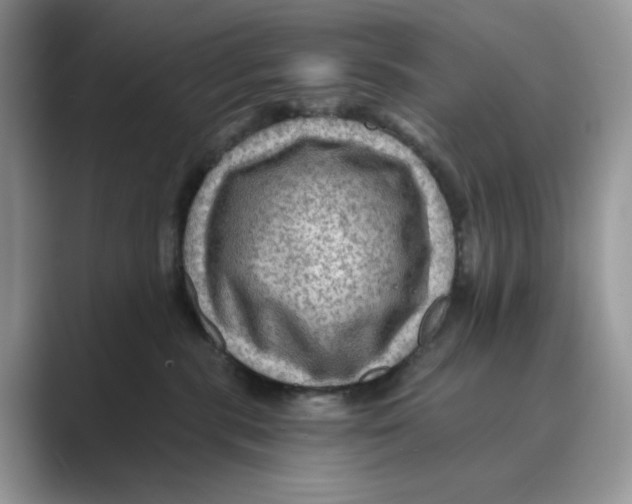 X0000088860283200707061056