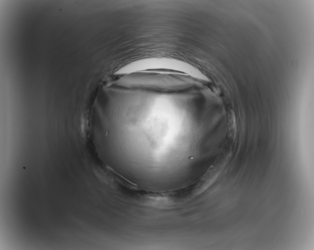 X0000088860284200707061056