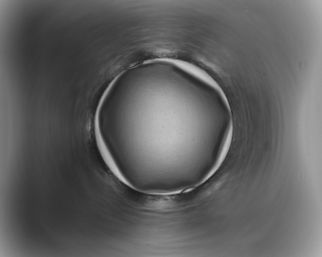 X0000088860288200707061056