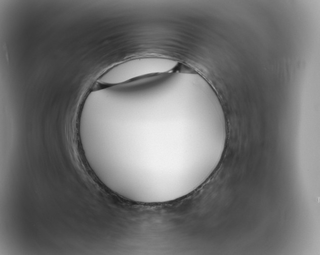 X0000088860289200707061056