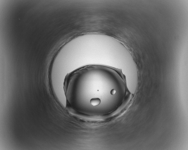 X0000088860293200707061056