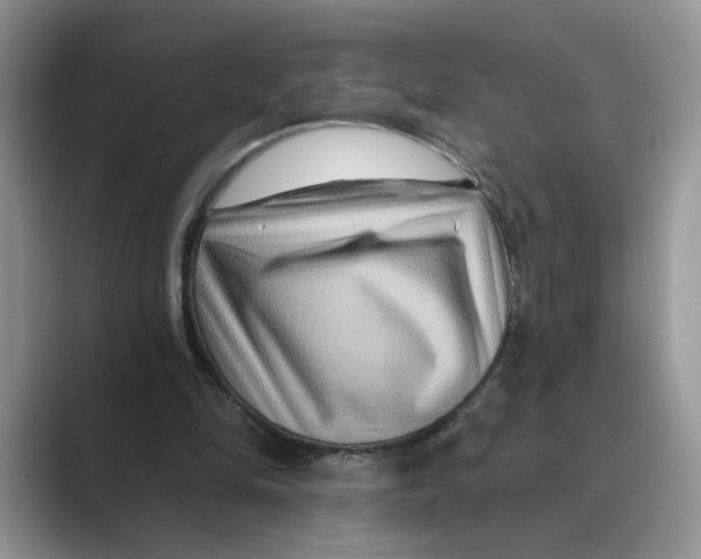 X0000088860294200707061056