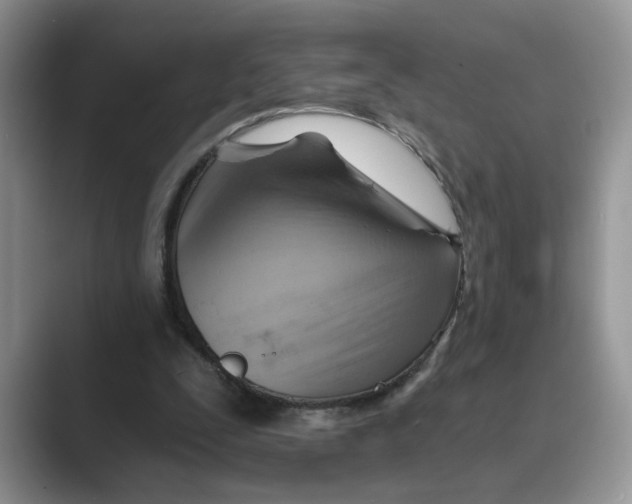 X0000088860295200707061056